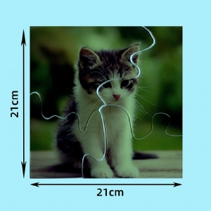 孤獨癥譜系及相關發(fā)育障礙兒童評估用心理教育量表C-PEP-3工具